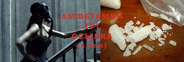 индика Абаза