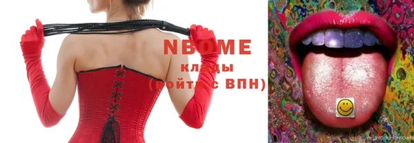 индика Абаза