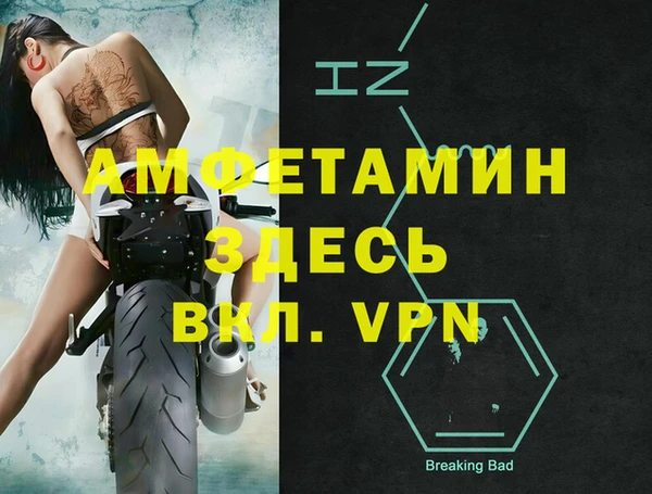 индика Абаза