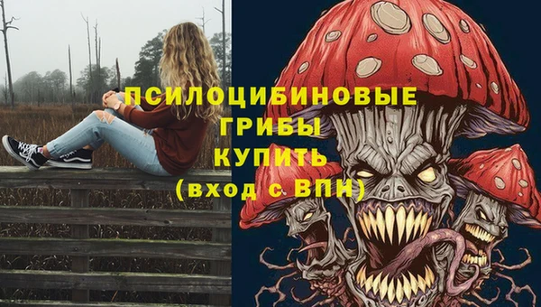 индика Абаза