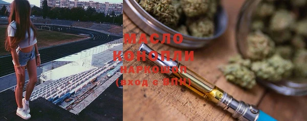 индика Абаза
