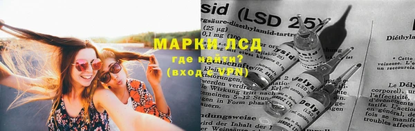 индика Абаза