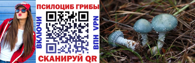 Галлюциногенные грибы GOLDEN TEACHER  Беломорск 
